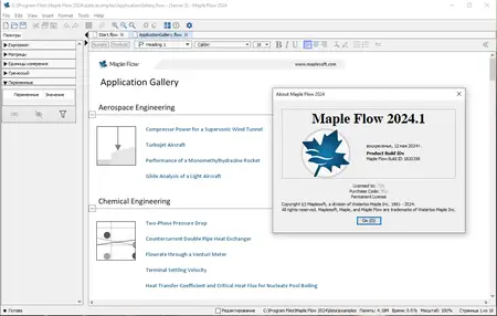 Maplesoft Maple Flow 2024.1