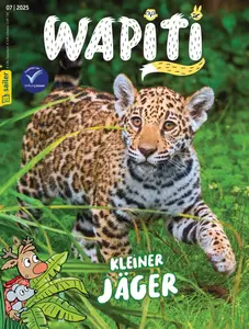 Wapiti - Juli 2025