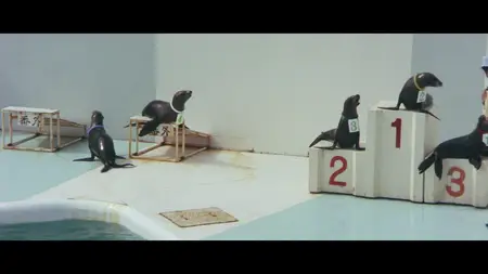 Gamera tai Shinkai kaijû Jigura (1971) Gamera vs. Zigra