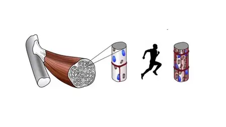 Execrise Oncology - Run For Your Life