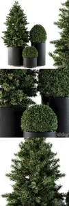 Outdoor Plants Tree in Concrete Pot - Set 110 3131153 - 3D Model