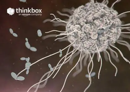 ThinkBox Frost MX 2.2.2 for 3ds Max 2015-2019