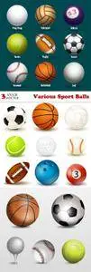 Vectors - Various Sport Balls