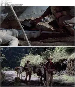 Rapine (1975)