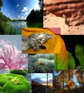 HQ Nature Photo Stock