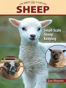 Sheep: Small Scale Sheep Keeping