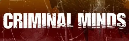 Criminal Minds Season 6 Episode 6 : Devil's Night