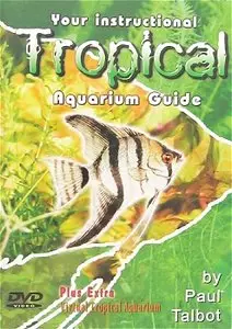 Your Instructional Tropical Aquarium Guide