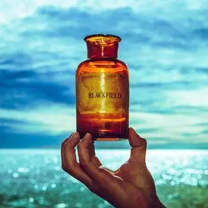 Blackfield - Blackfield V (2017) [Studio Master Re-encoded > FLAC 24/48]