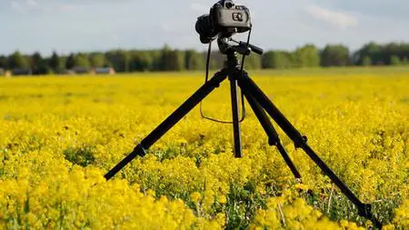 Mit Eigenen Fotos Geld Verdienen