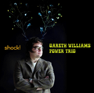 Gareth Williams Power Trio - Shock! (STUDIO MASTER!!! 24bit/44.1 kHz) | (2008)