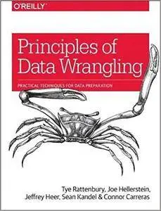 Principles of Data Wrangling: Practical Techniques for Data Preparation