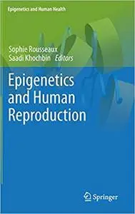 Epigenetics and Human Reproduction