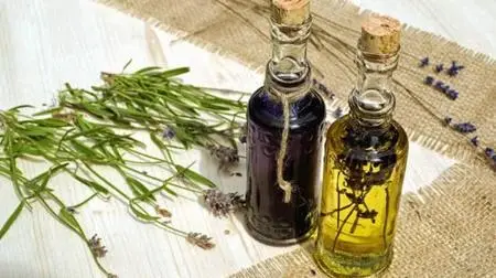 Herbalism : Make Your Own Tinctures, Tonics and Teas