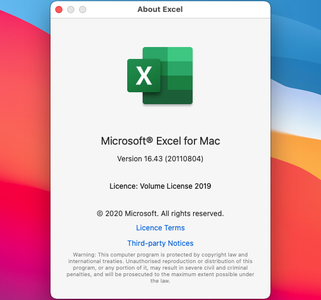 Microsoft Excel 2019 for Mac v16.47.1 VL Multilingual