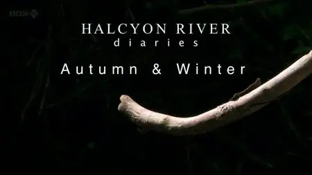 BBC - Halcyon River Diaries Christmas Special (2010)