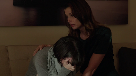 Blue Bloods (2010–2014)