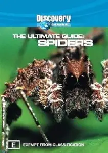 Discovery Channel - Ultimate Guide: Spiders (1998)