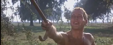 Cool Hand Luke (1967)