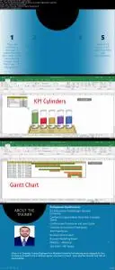 Microsoft Excel Dashboard Infographics Masterclass Volume 1
