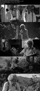 El artista y la modelo (2012)