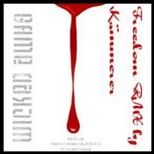 Kammerer. 9 Albums (2008-2010)