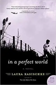 In a Perfect World: A Novel