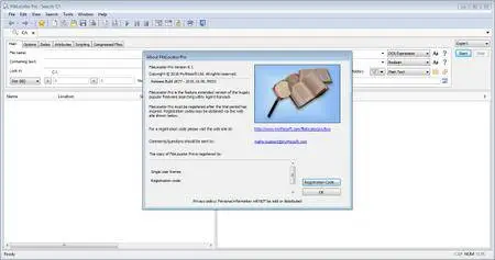 Mythicsoft FileLocator Pro 8.1.2677 Multilingual + Portable