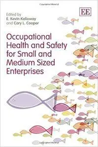 Occupational Health and Safety for Small and Medium Sized Enterprises