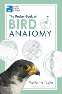 The Pocket Book of Bird Anatomy (RSPB)