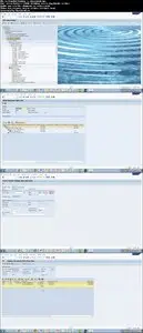 Udemy - Stock Transport Order and Account Assigned Order in SAP MM