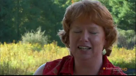 America Wild and Wacky – Punkins and Road (2011)