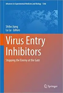 Virus Entry Inhibitors: Stopping the Enemy at the Gate