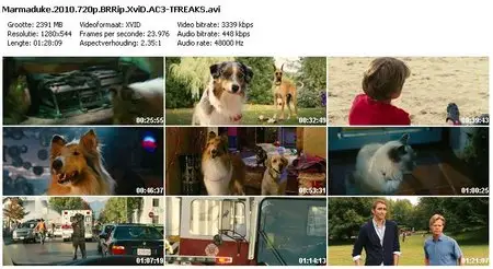 Marmaduke (2010)