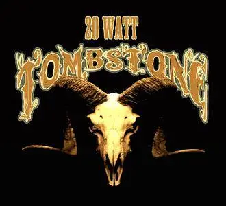 20 Watt Tombstone - Wisco Disco (2014)