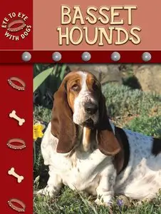 Bassett Hounds (Eye to Eye with Dogs) (repost)