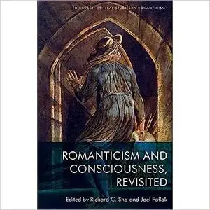 Romanticism and Consciousness, Revisited