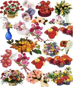Flower RF Images