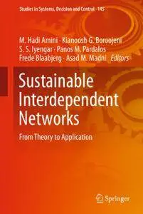 Sustainable Interdependent Networks: From Theory to Application