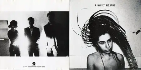 PJ Harvey - Rid Of Me (1993)