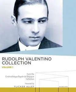 Rudolph Valentino Collection. Volume 1 (1919-1922)