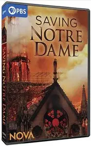 PBS - NOVA: Saving Notre Dame (2020)