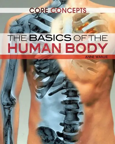 The Basics of the Human Body (Core Concepts)