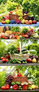 Stock Photo - Fruits & Vegetables 2
