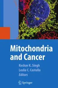 Mitochondria and Cancer (Repost)