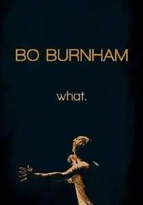 Bo Burnham: what. (2013)
