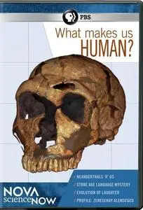 PBS - Nova ScienceNow: What Makes Us Human? (2012) [Repost]