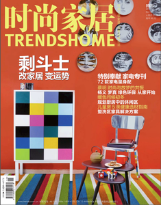 TrendsHome 2011 Vol11 (China)