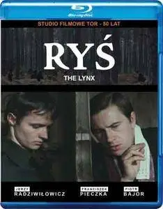 Rys (1982)