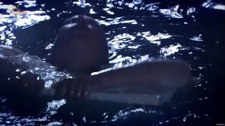 History Channel - The True Story Titanic (2012)